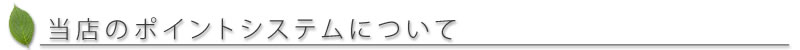ミスピュアドットコムのポイントシステムについて